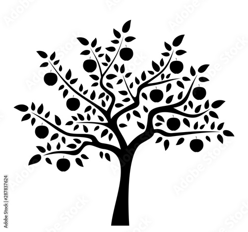 apple tree