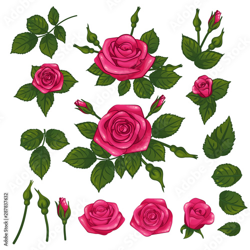 Glamour cute pink rose roses composition bouquet with green leaf leafs and bud, isolated on white vector clip art illustration