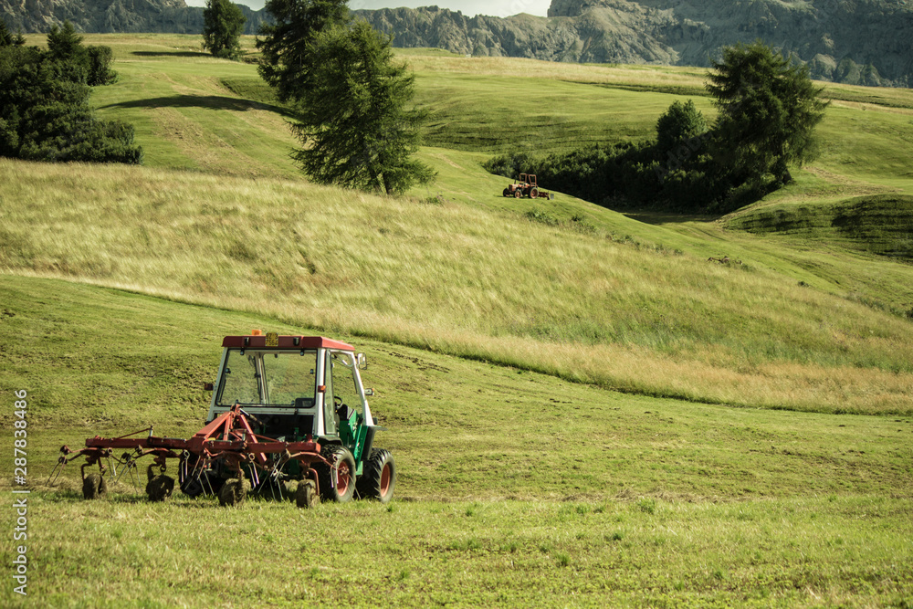 Obraz premium Agricoltura in montagna