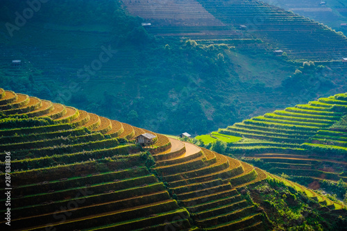 Rizières en terrasses, Haut Tonkin, province de Yên Bái, district de Mù Cang Chai,  Vietnam.