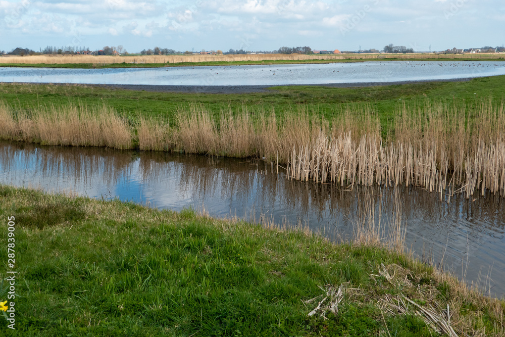 Dutch area called Eilandspolder in North-Holland Dutch area called Eilandspolder in North-Holland