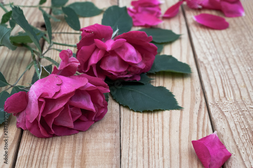 two red roses with green leaves and separate rose petals on light brown wooden boards