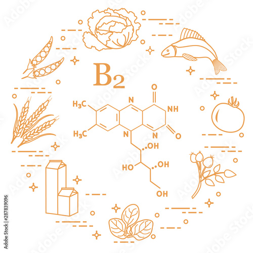 Foods rich in vitamin B2. Fish, peas and other.
