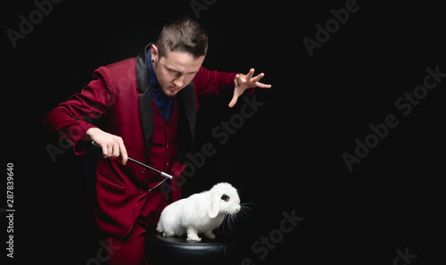 Foto Magician man makes trick with white rabbit and magic wand, copy space black back