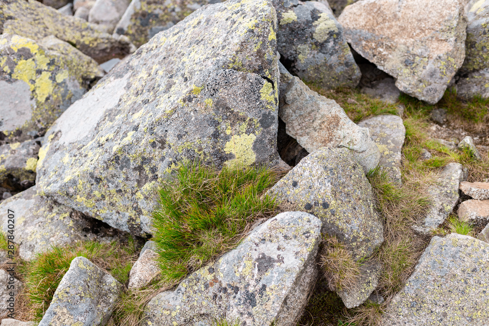 A group of stones rock. Rock mountain nature shape cliff. Trekking and tourism concept.