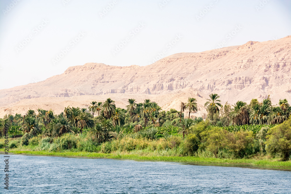 Bank of Nile river seen during touristic cruise, Egypt Bank of Nile river seen during touristic cruise, Egypt