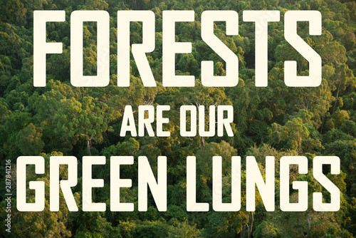 Phrase saying "forests are our green lungs" written on a green amazonian rainforest background. Eco, ecology and natural resources conservation concepts