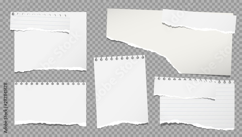 Set of torn white note, notebook paper pieces stuck on grey squared background. Vector illustration