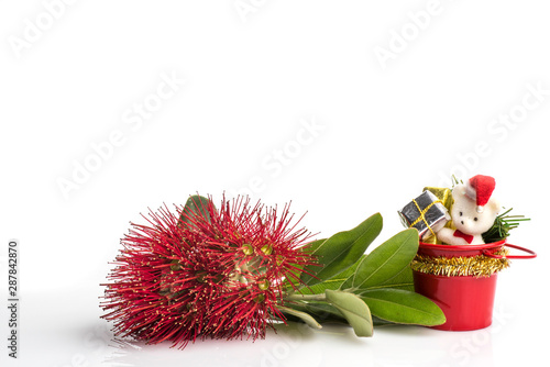 A sprig of red flowering pohutukawa (New Zealand Christmas tree) with Christmas decorations on a white background. photo