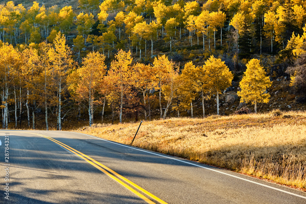 Obraz premium Highway at autumn sunny day in Rocky Mountain National Park. Colorado, USA.