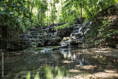 Walk through the jungle before reaching the temples of Palenque. Yucatan  Mexico