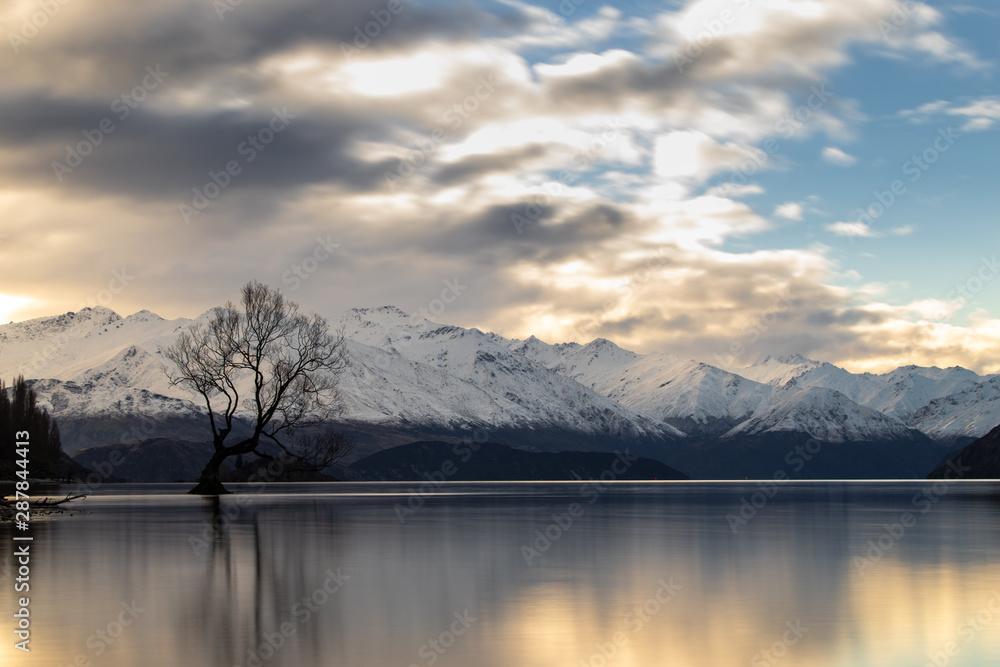 Fototapeta premium Wanaka Tree, Lake Wanaka