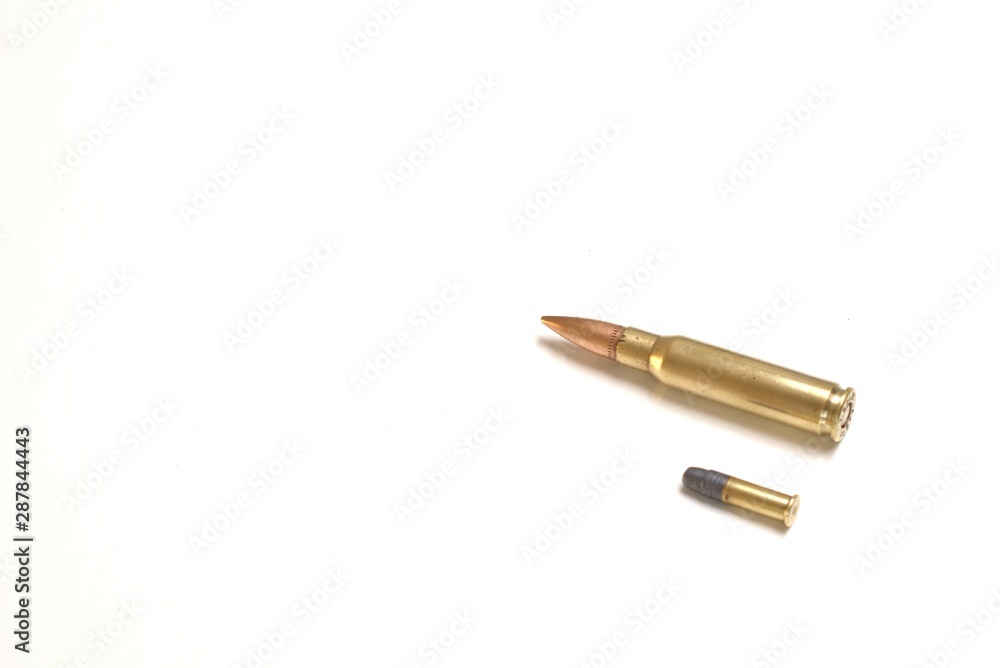 Two bullets, one small and one large. The one below is a .22 soft hollow point, the one above a 7.62 x 51mm NATO. Two bullets, one small and one large. The one below is a .22 soft hollow point, the one above a 7.62 x 51mm NATO.