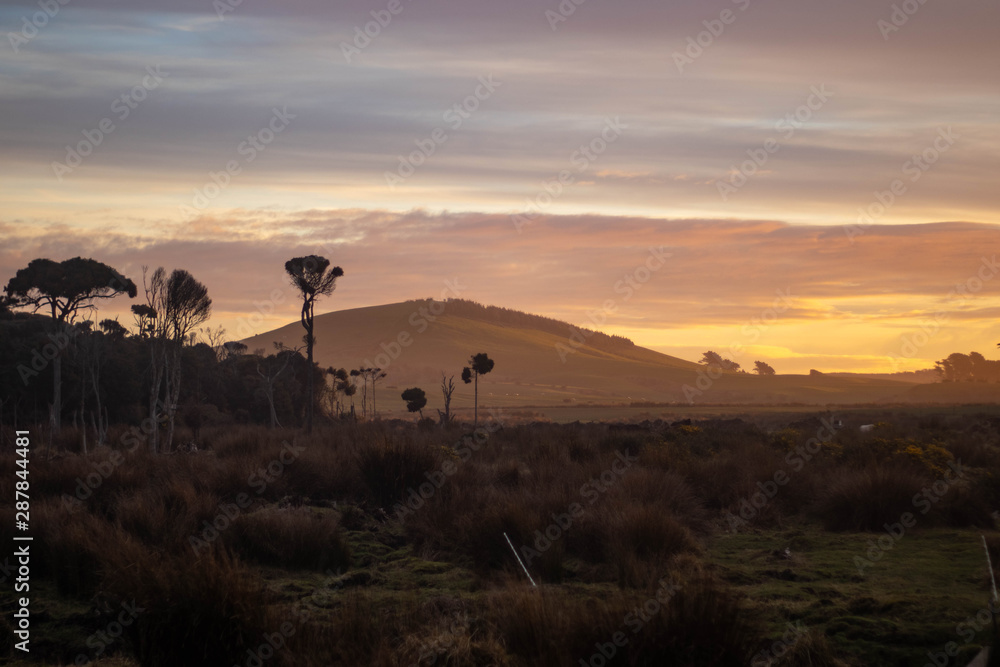 Tropical dawn