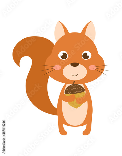 squirrel isolated on white