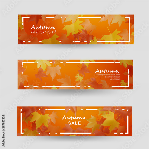 Colorful autumn leaves, with white frame, autumn forest banner templates