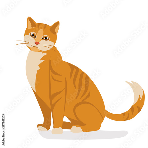 Red cat.Illustration of Cute cat with stripes. nice realistic pet sitting and smiling. vector isolated photo
