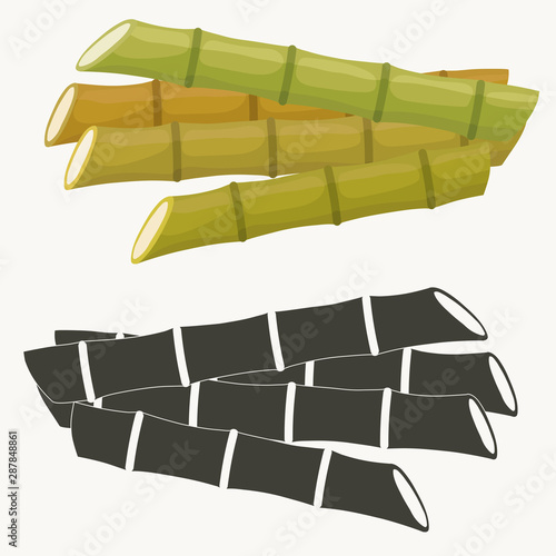 Sugar cane set. Cane plant, sugarcane harvest stalk, plant and leaves, sugar ingredient stem. Vector