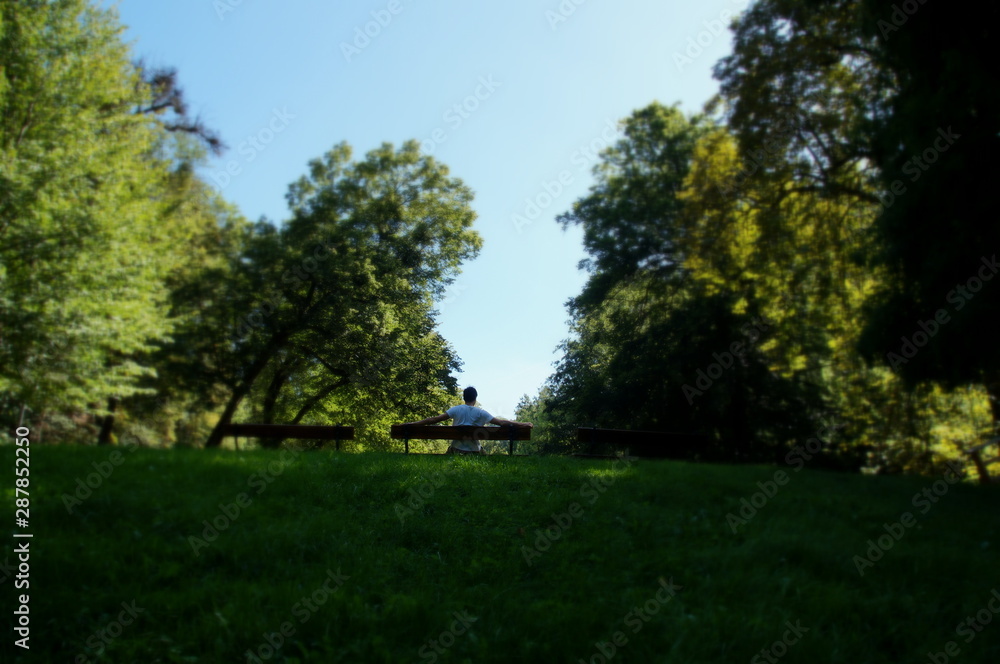 Mann auf sitzbank im park sommer