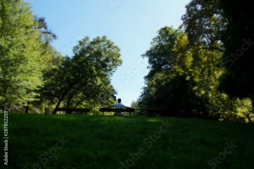 Mann auf sitzbank im park sommer