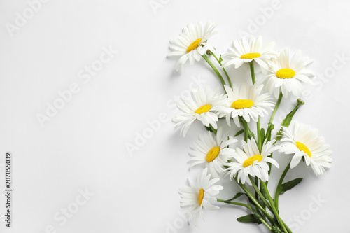 Bouquet of beautiful chamomile flowers on white background, top view © New Africa