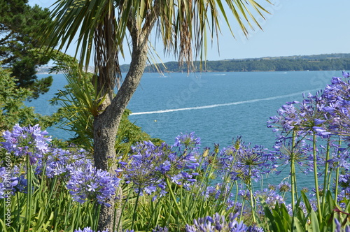 Views from coastal path from Paignton to Goodrington, Torbay, Devon