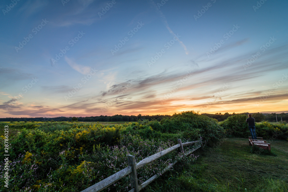 A lone man admires the vivid sunset over wild flowers and foliage in late summer