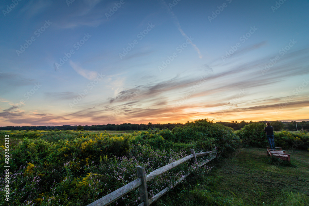 A lone man admires the vivid sunset over wild flowers and foliage in late summer A lone man admires the vivid sunset over wild flowers and foliage in late summer