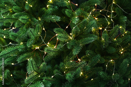 Fir tree branches with glowing yellow Christmas light as background