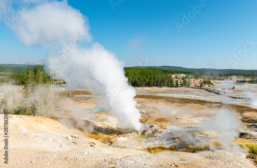 Landscape of the most active part of Yellowstone national park with the Norris Geyser Basin where numerous geysers and fumarole show the volcanic activity of the area, Wyoming, USA.