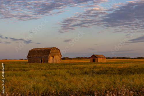 Old abandoned barn in the Saskatchewan prairies at sunset
