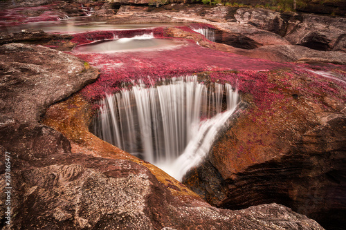 Photography Caño cristales, Colombia