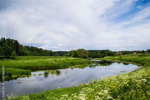 river, banks on both sides in plants, against the background of the forest, in summer in Russia