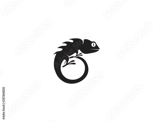 Lizard chameleon logo or icon template vector design