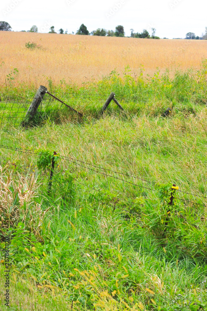 Obraz premium Country Living - living with Nature