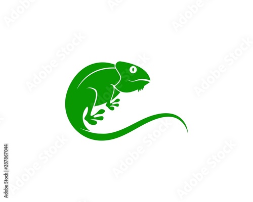 Lizard chameleon logo or icon template vector design