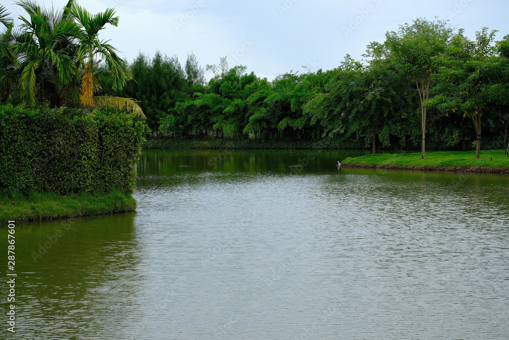 Fototapeta premium A vast swamp on green background