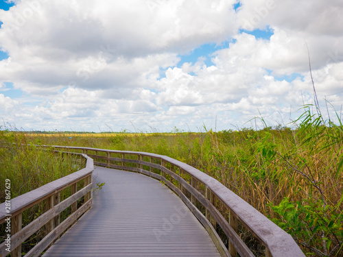 Wooden path on swamp in Everglades, Florida, USA