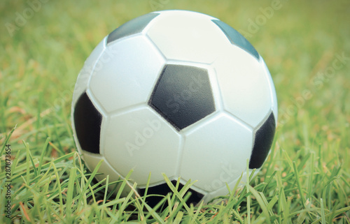 Small stress ball lying on green grass