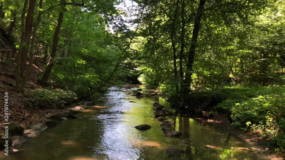 pretty stream in the forest during summer pretty stream in the forest during summer