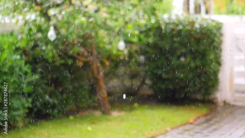 raining slowmotion outside in garden photo