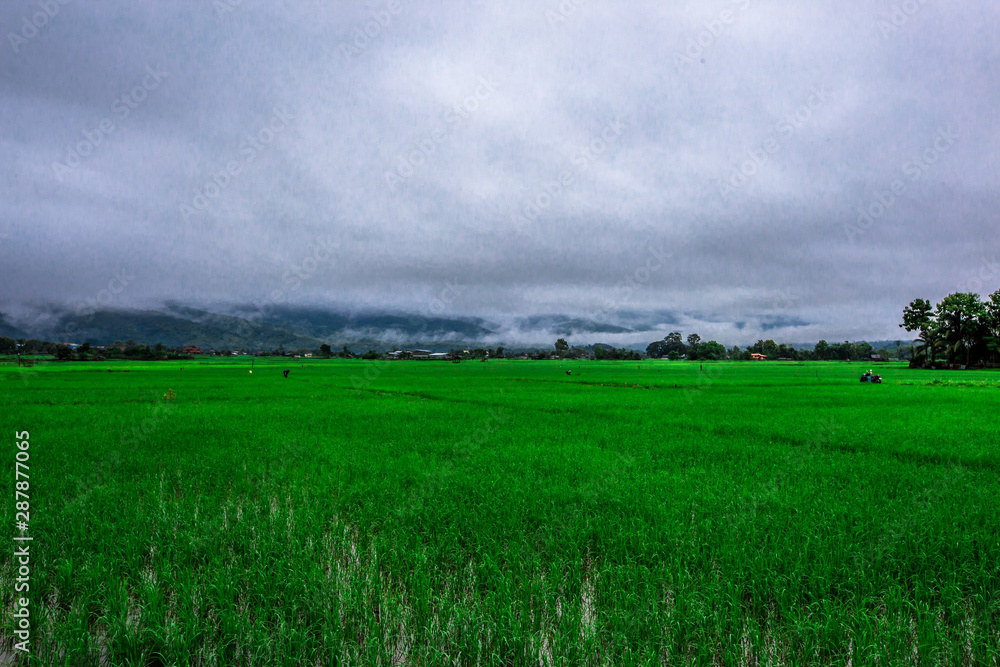 Wallpaper panoramic nature of the atmosphere, green fields and surrounded by mountains, blurred winds, the occupation of rural Thai farmers Wallpaper panoramic nature of the atmosphere, green fields and surrounded by mountains, blurred winds, the occupation of rural Thai farmers