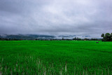 Wallpaper panoramic nature of the atmosphere, green fields and surrounded by mountains, blurred winds, the occupation of rural Thai farmers