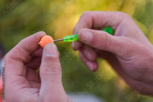 bait for carp. Wear hooks for carp. bait for carp. Boyle photo