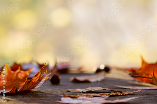 Fall background. Orange autumn maple leaves on wooden table. Sunny blurred background, bokeh lights. Horizontal, copy space