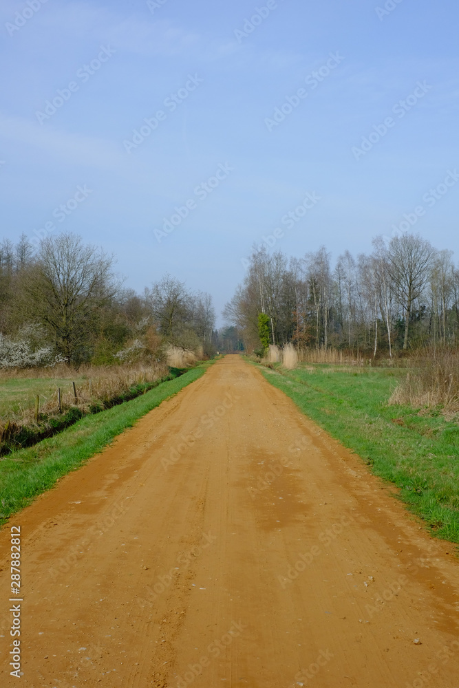 Straight rural pathway with green plants and tree on both the side against blue sky