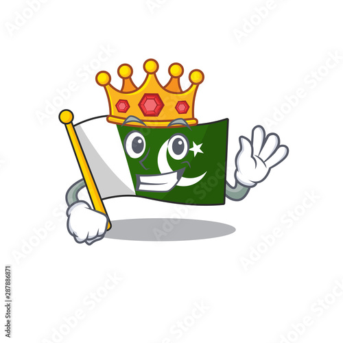 King flag pakistan isolated in the cartoon