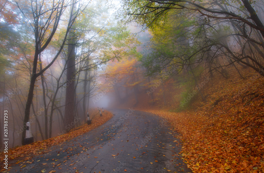 Beautiful road in fog Beautiful road in fog
