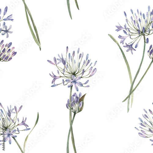 Fototapeta Naklejka Na Ścianę i Meble -  Watercolor allium floral seamless pattern