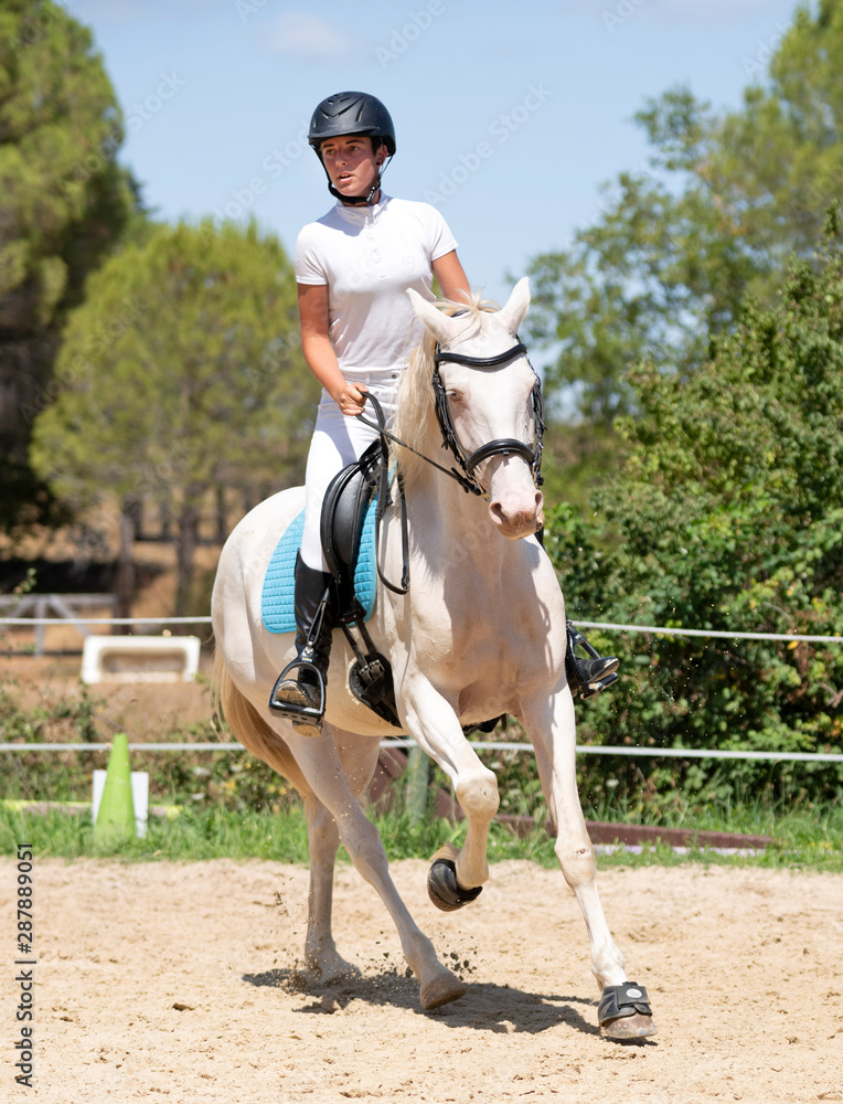 riding girl and horse
